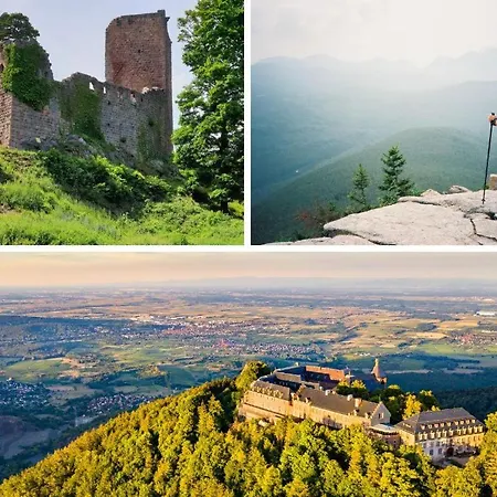 Charme Alsacien Avec Piscine, Proche Strasbourg Et Grand Ried *