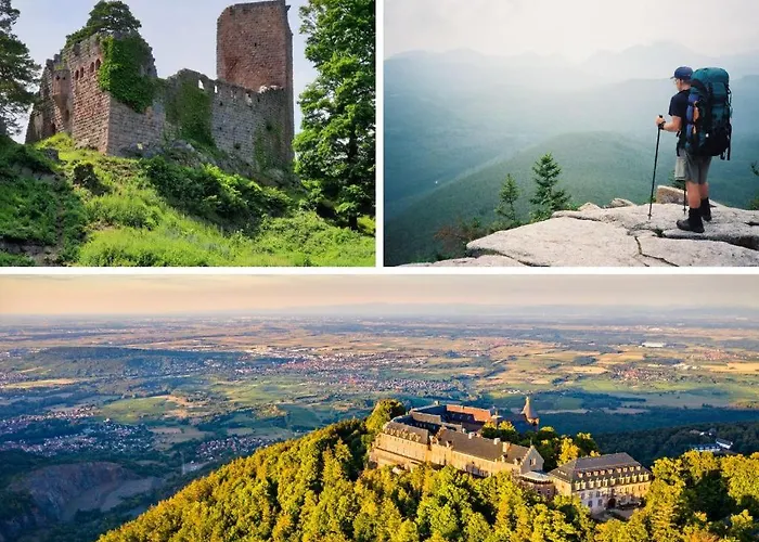 Charme Alsacien Avec Piscine, Proche Strasbourg Et Grand Ried *